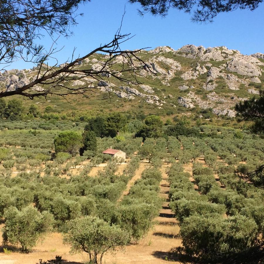 לינה וארוחת בוקר מורייס La Bergerie De Cigalon מראה חיצוני תמונה
