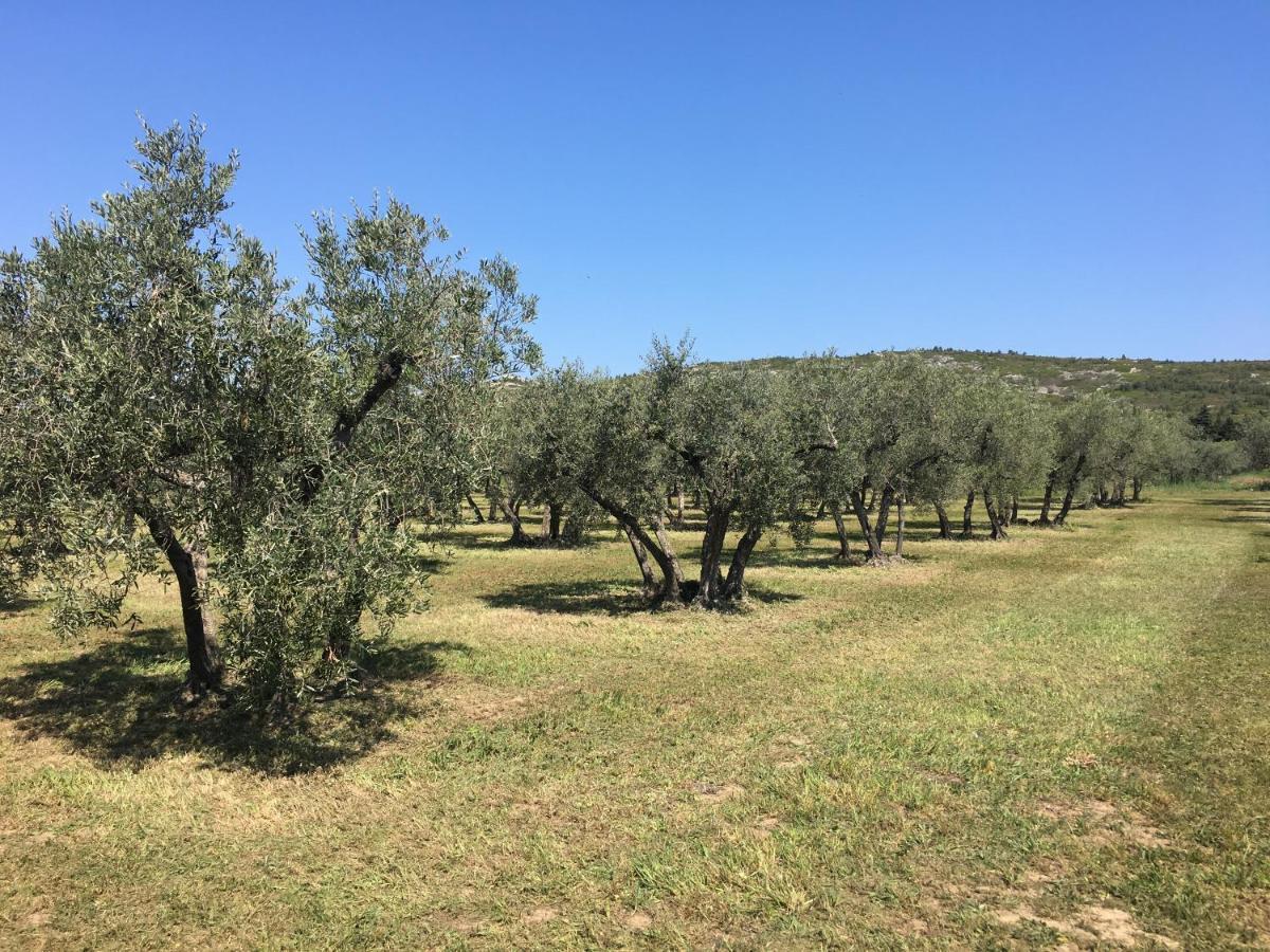 לינה וארוחת בוקר מורייס La Bergerie De Cigalon מראה חיצוני תמונה