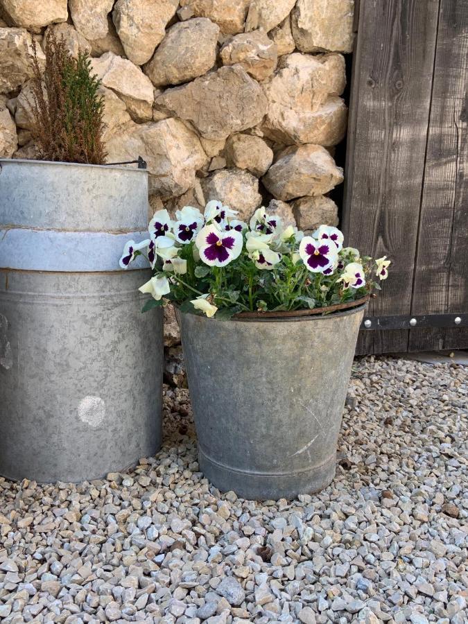 לינה וארוחת בוקר מורייס La Bergerie De Cigalon מראה חיצוני תמונה